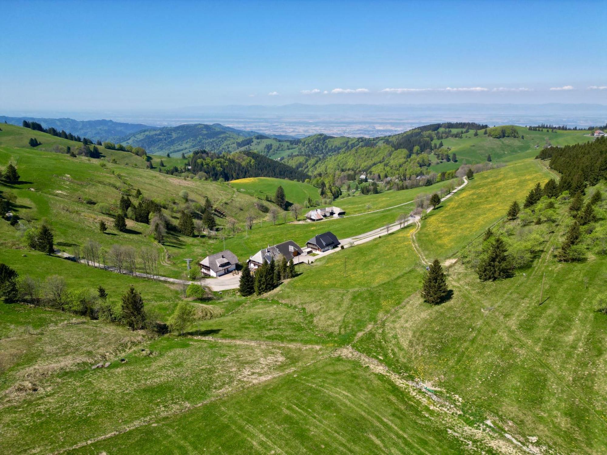 View House, Schauinsland, Black Forest Muenstertal Exterior photo